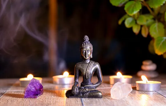 PC蛋蛋开奖结果与趋势参考预览